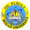 Logo Wollo University