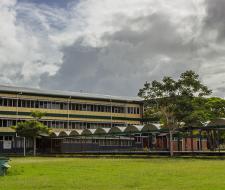 University of Guyana