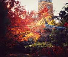 Waseda University