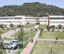 Wollo University