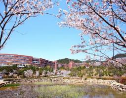 Silla University