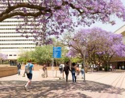 University of Pretoria