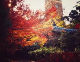 Waseda University