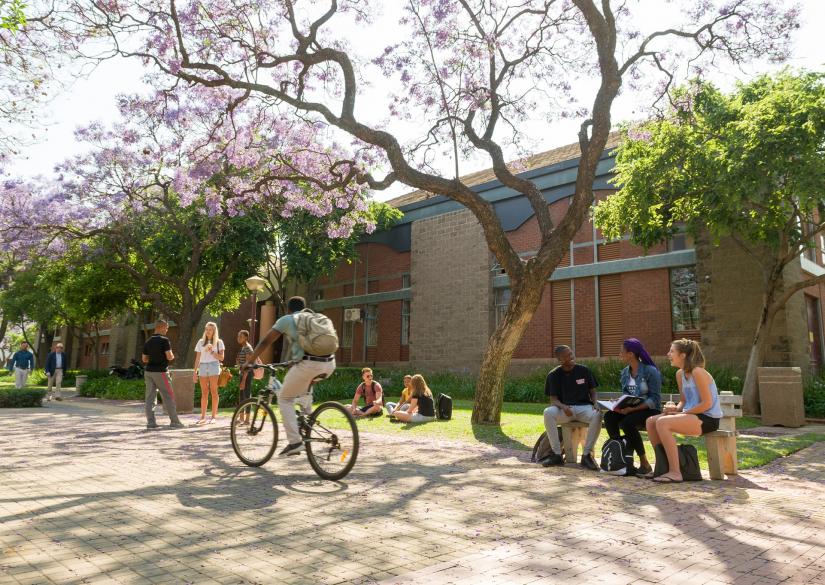 University of Pretoria (Pretoria, South Africa)