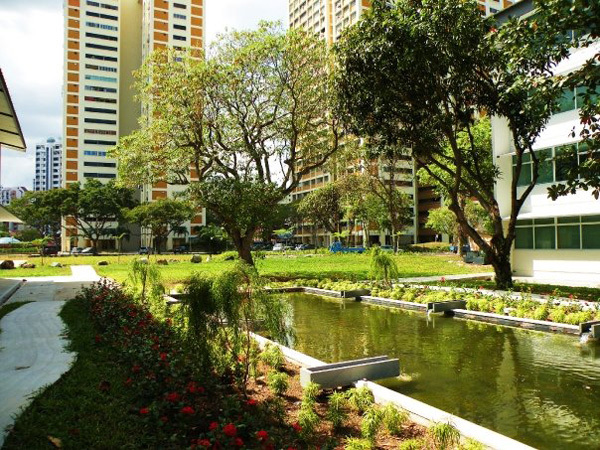 CURTIN UNIVERSITY SINGAPORE TUITION FEES FOR INTERNATIONAL STUDENTS visual data 3