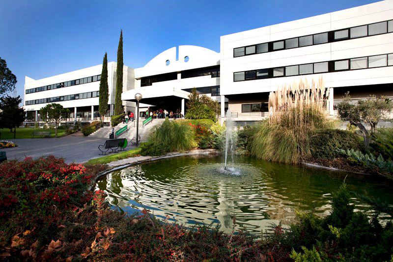 Universidad Europea Madrid (Madrid, Spain)