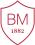 Brillantmont International School Summer Camp