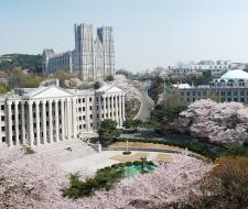 Kyung Hee University