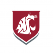 Logo INTO Washington State University