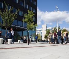 Sveriges lantbruksuniversitet (Swedish University of Agricultural Cultures)