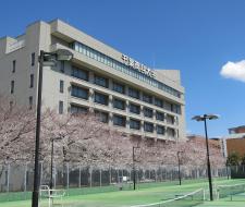 Chiba University
