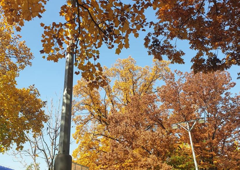 University of Seoul (Seoul, South Korea)