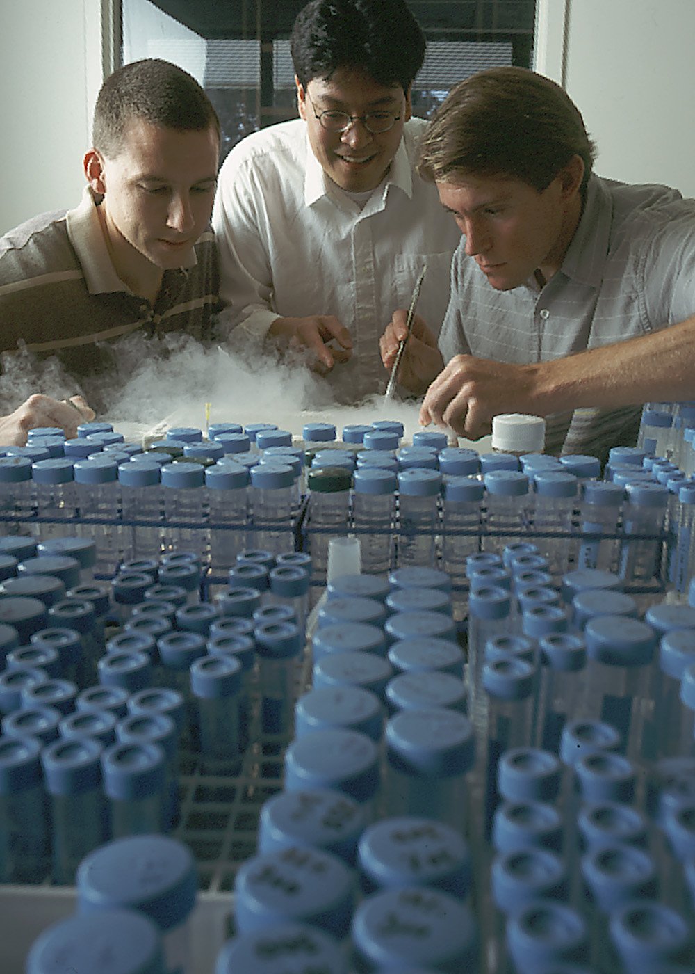 The Scripps Research Institute (San Diego, California, USA) apply