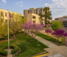 University of Arkansas Fayetteville