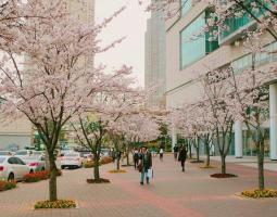 Konkuk University