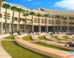 University of Alicante
