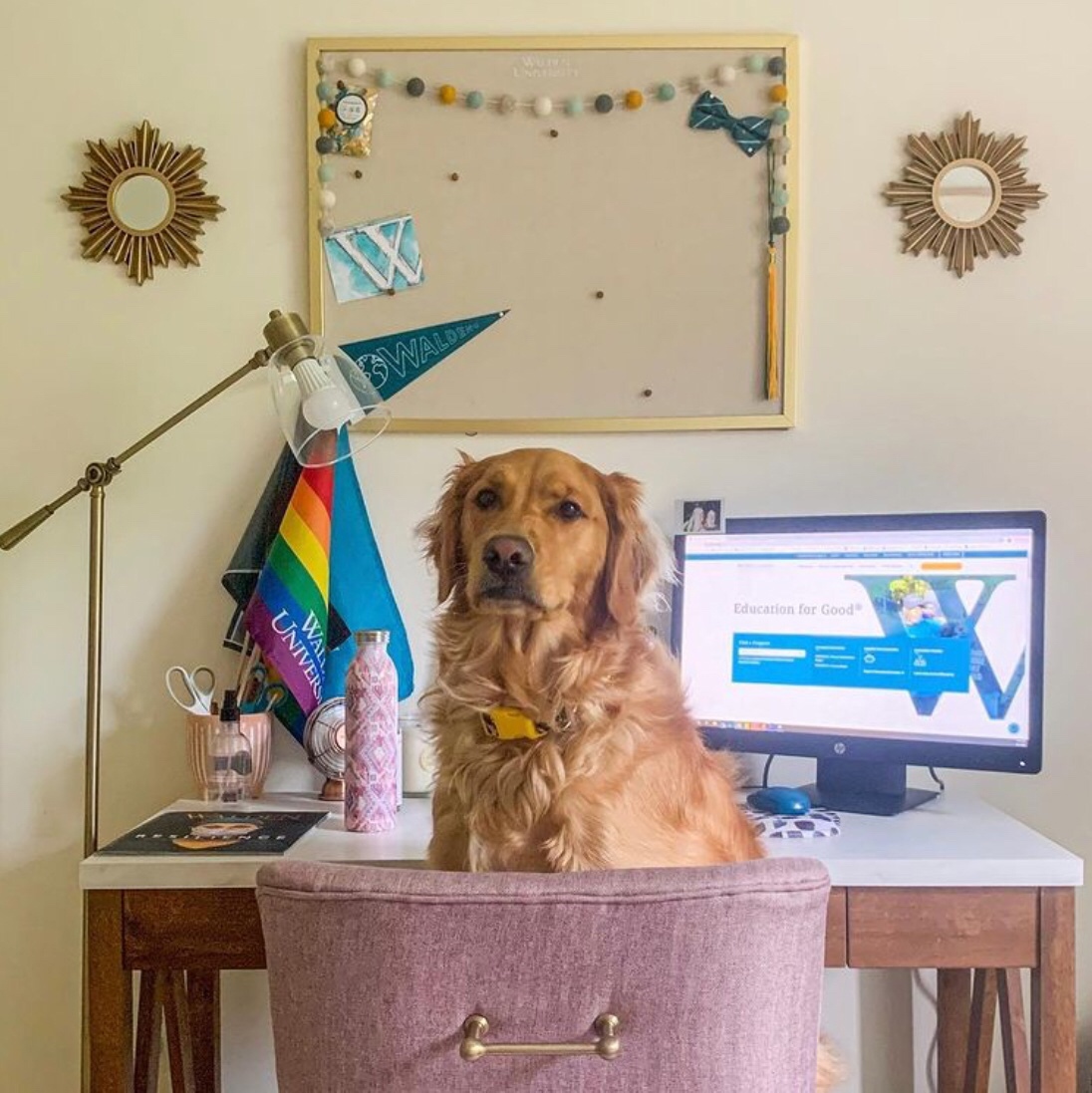 Walden University (Minneapolis, Minnesota, USA) apply, prices