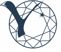 Logo North-Eastern Federal University named after M.K. Ammosov (Ammosov Medical Institute)