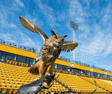 Kennesaw State University