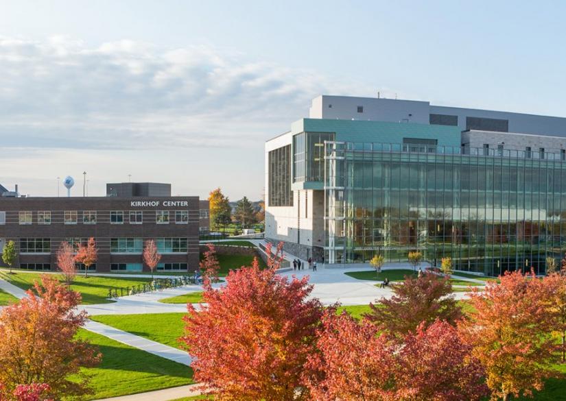 Grand Valley State University (Detroit, USA)