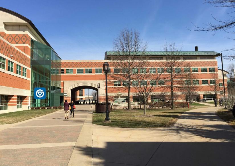 Grand Valley State University (Detroit, USA)
