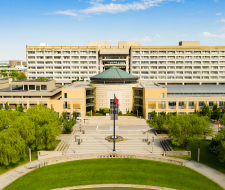 Embassy Summer York University Camp