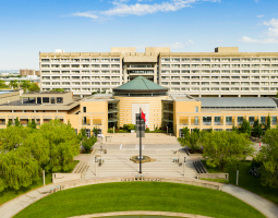 Embassy Summer York University Camp