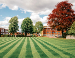 Sutton High School - London - Day Camp