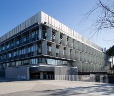 B&D Institute for Business and Design