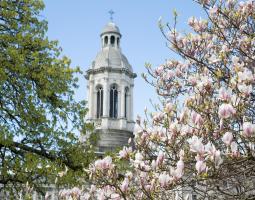 Trinity Hall Summer