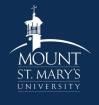 Logo Mount St Mary's Summer School