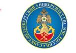 Logo Far Eastern Fire and Rescue Academy (branch of SPbUGPS), DVPSA EMERCOM