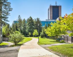 Carleton University