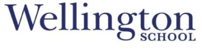 Logo Embassy Summer Wellington School