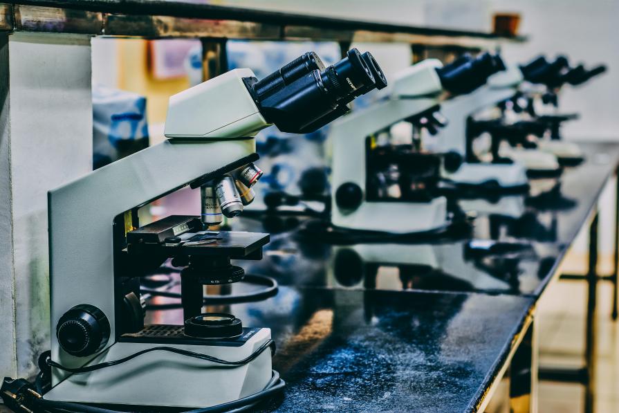 The Most Interesting Discoveries Scientists Have Made in 2023