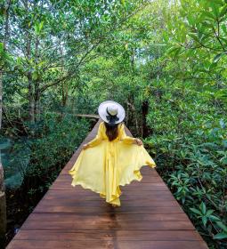Unusual Malaysia: from jungles to UNESCO monuments