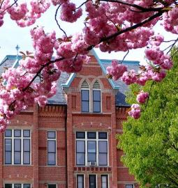 Dual Degree with Tiffin University, USA