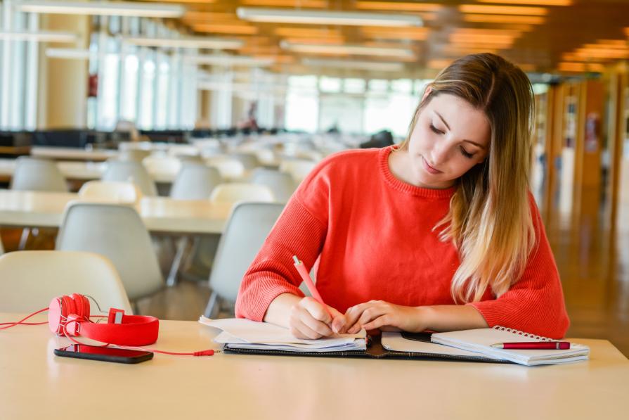 50% grants for university preparation courses