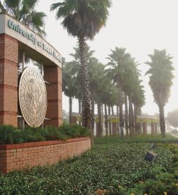 On the basis of the University of South Florida, unique summer programs are organized!