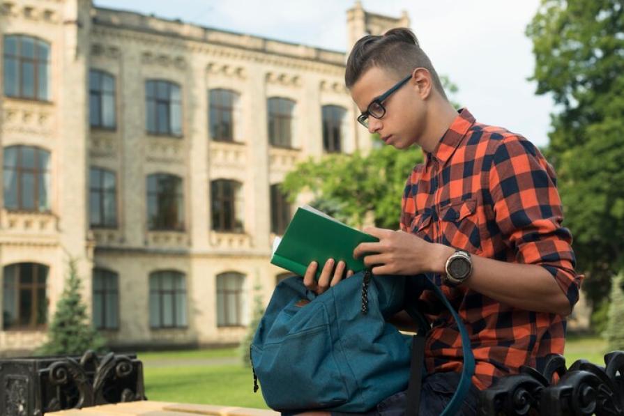 What is the difference between a university and a college in the USA?