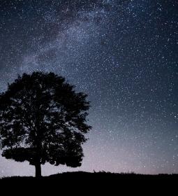 Where is the best place to look at the stars: top places in the world