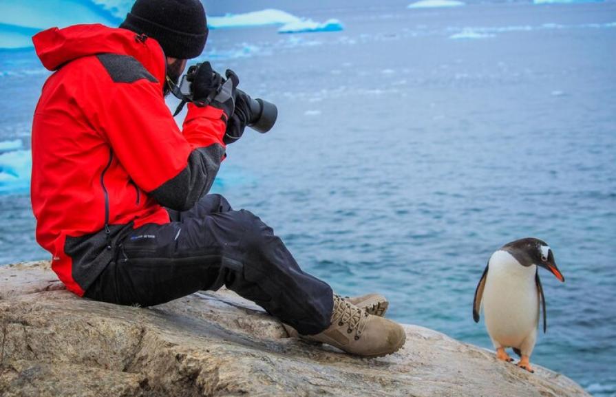 Trip to Antarctica: how much does it cost and how to get there?