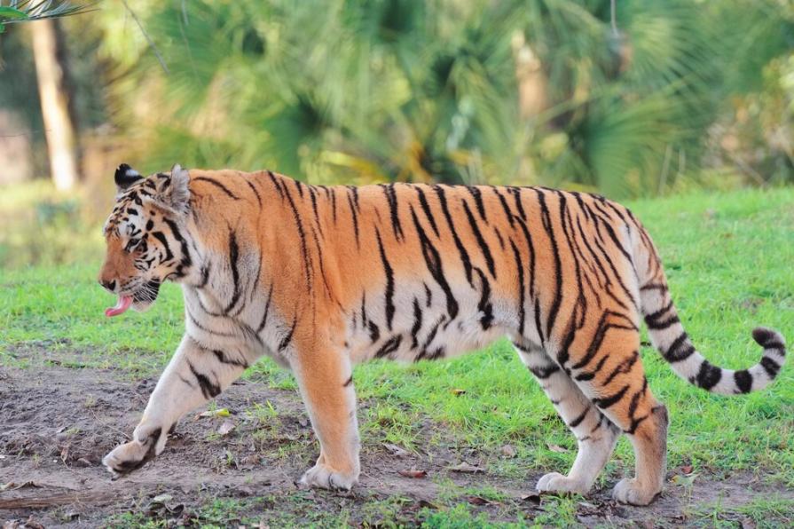 The largest zoos in the world