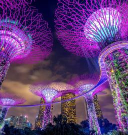 TOP-4 quarters of Singapore, mandatory for every tourist