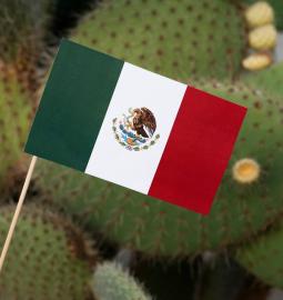 How can Mexico surprise tourists?