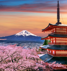 TOP-9 difficulties that await tourists in Japan