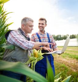 Mejores universidades de agricultura en Rusia 2027 Rankings