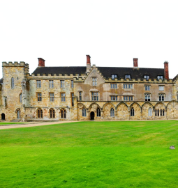 TOP 3 Mejores Colegios Privados en Hastings 2027 Rankings