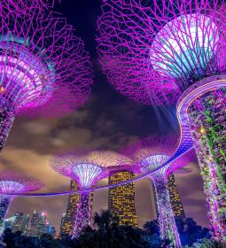 TOP-4 quarters of Singapore, mandatory for every tourist
