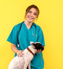 Best Veterinary Universities in Canada 2025 – QS World University Rankings